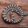 Kornnatter, Pantherophis Guttatus ANERY