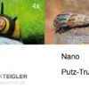Nano Putz-Truppe: 4x Geweihschnecke + 5x Turmdeckelschnecke